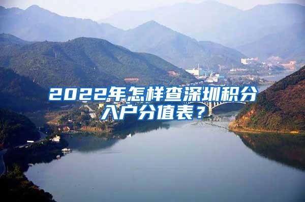 2022年怎样查深圳积分入户分值表？