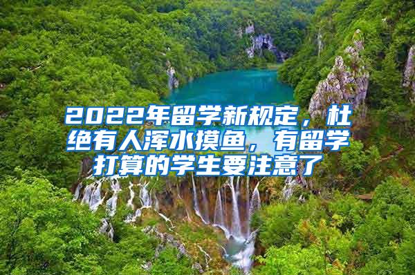 2022年留学新规定，杜绝有人浑水摸鱼，有留学打算的学生要注意了