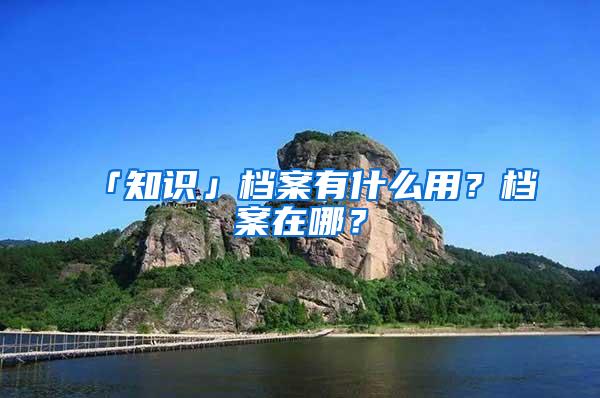 「知识」档案有什么用？档案在哪？