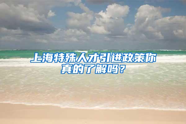 上海特殊人才引进政策你真的了解吗？