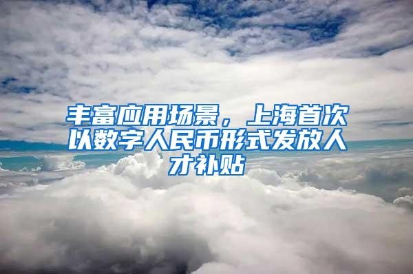 丰富应用场景，上海首次以数字人民币形式发放人才补贴