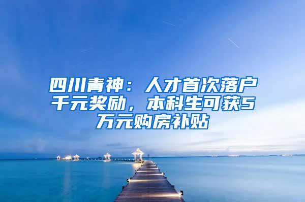 四川青神：人才首次落户千元奖励，本科生可获5万元购房补贴