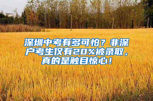 深圳中考有多可怕？非深户考生仅有20%被录取，真的是触目惊心！