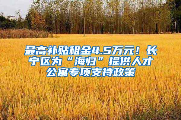 最高补贴租金4.5万元！长宁区为“海归”提供人才公寓专项支持政策