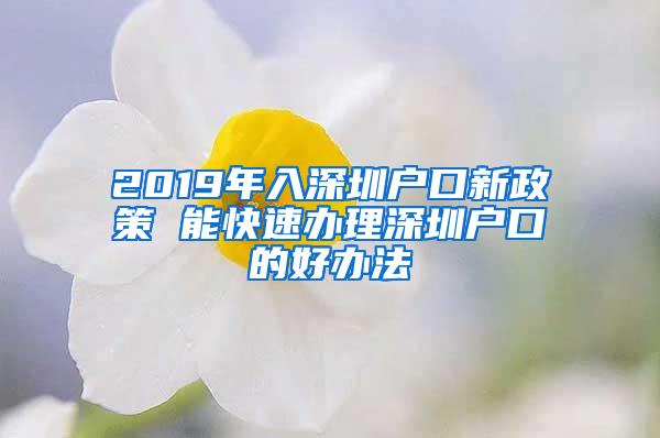 2019年入深圳户口新政策 能快速办理深圳户口的好办法