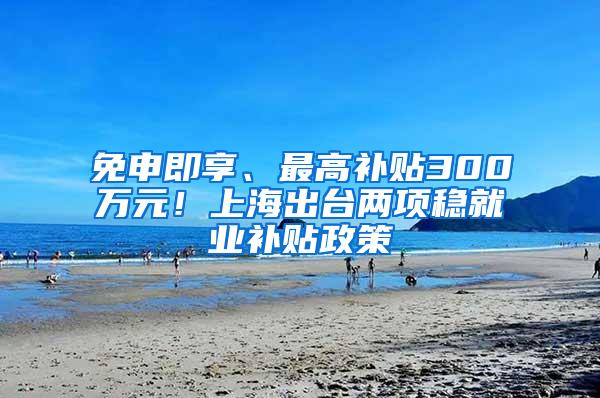 免申即享、最高补贴300万元！上海出台两项稳就业补贴政策