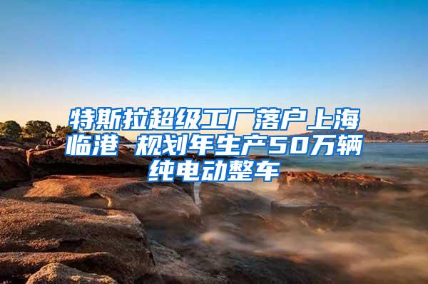 特斯拉超级工厂落户上海临港 规划年生产50万辆纯电动整车