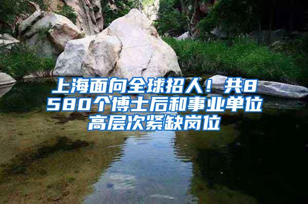 上海面向全球招人！共8580个博士后和事业单位高层次紧缺岗位