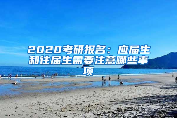 2020考研报名：应届生和往届生需要注意哪些事项