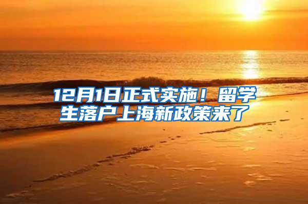 12月1日正式实施！留学生落户上海新政策来了