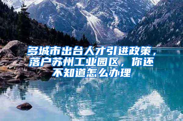 多城市出台人才引进政策，落户苏州工业园区，你还不知道怎么办理