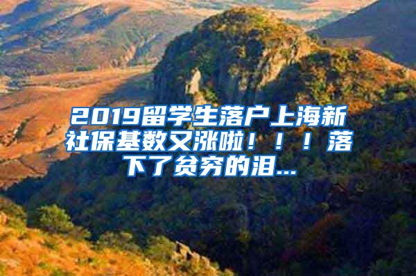 2019留学生落户上海新社保基数又涨啦！！！落下了贫穷的泪...