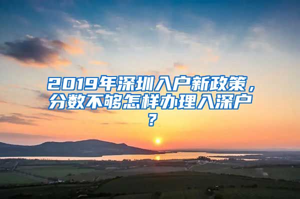 2019年深圳入户新政策，分数不够怎样办理入深户？