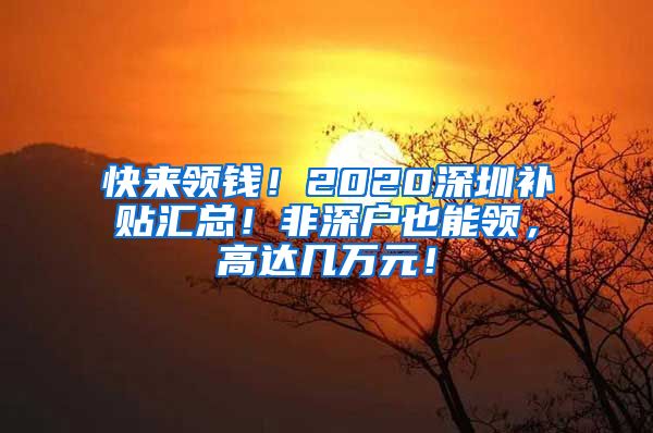 快来领钱！2020深圳补贴汇总！非深户也能领，高达几万元！