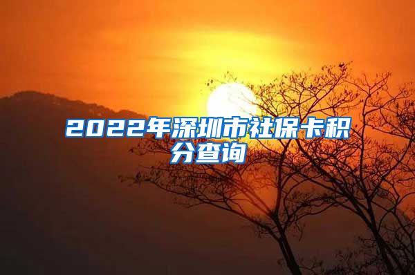 2022年深圳市社保卡积分查询