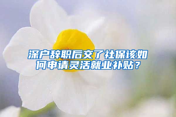 深户辞职后交了社保该如何申请灵活就业补贴？