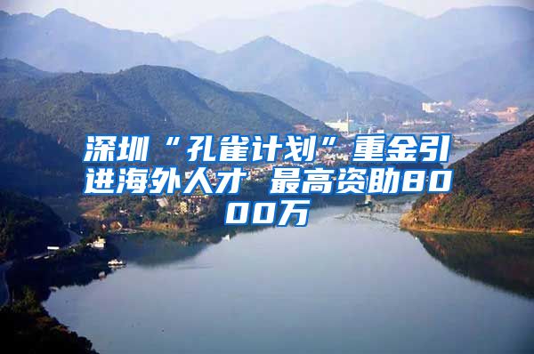 深圳“孔雀计划”重金引进海外人才 最高资助8000万