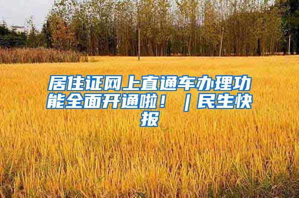 居住证网上直通车办理功能全面开通啦！︱民生快报