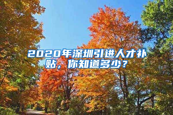 2020年深圳引进人才补贴，你知道多少？