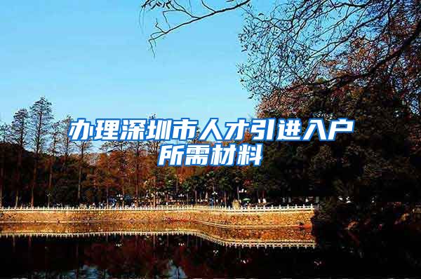 办理深圳市人才引进入户所需材料